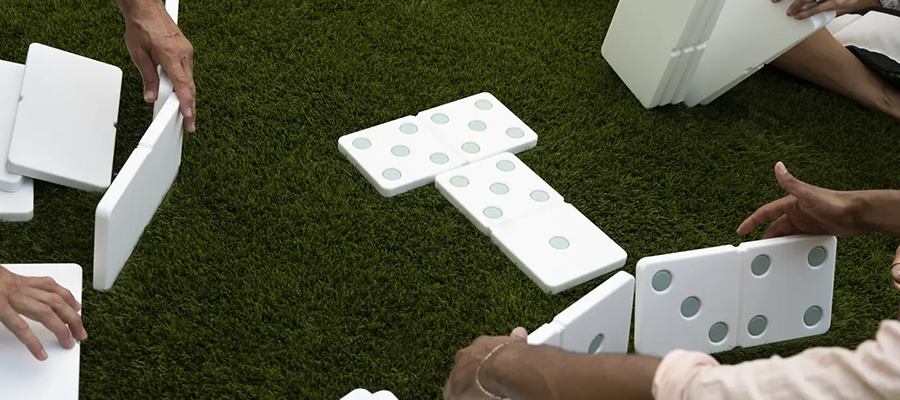 Dominoes Park Game